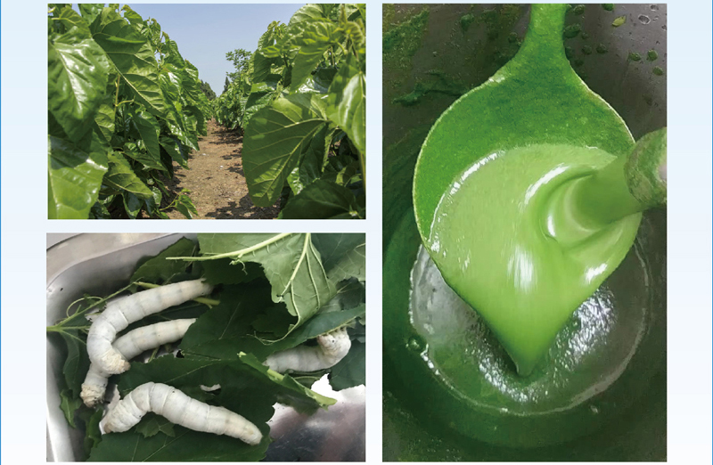 �rɣ�~�Ƃ���Q��ϼӹ���Q����